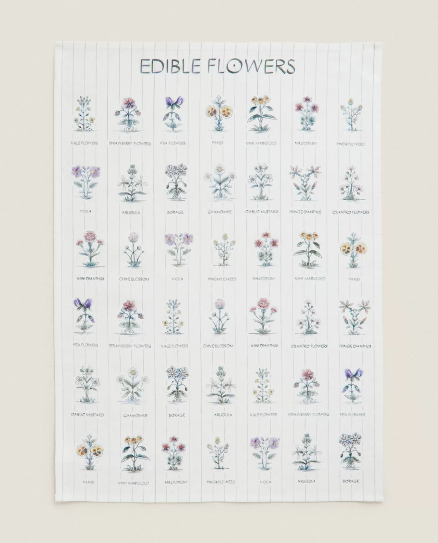 ZARA Home Jardim<Toalha De Cha De Algodao Com Estampa Floral E Xadrez (Pacote Com 2)